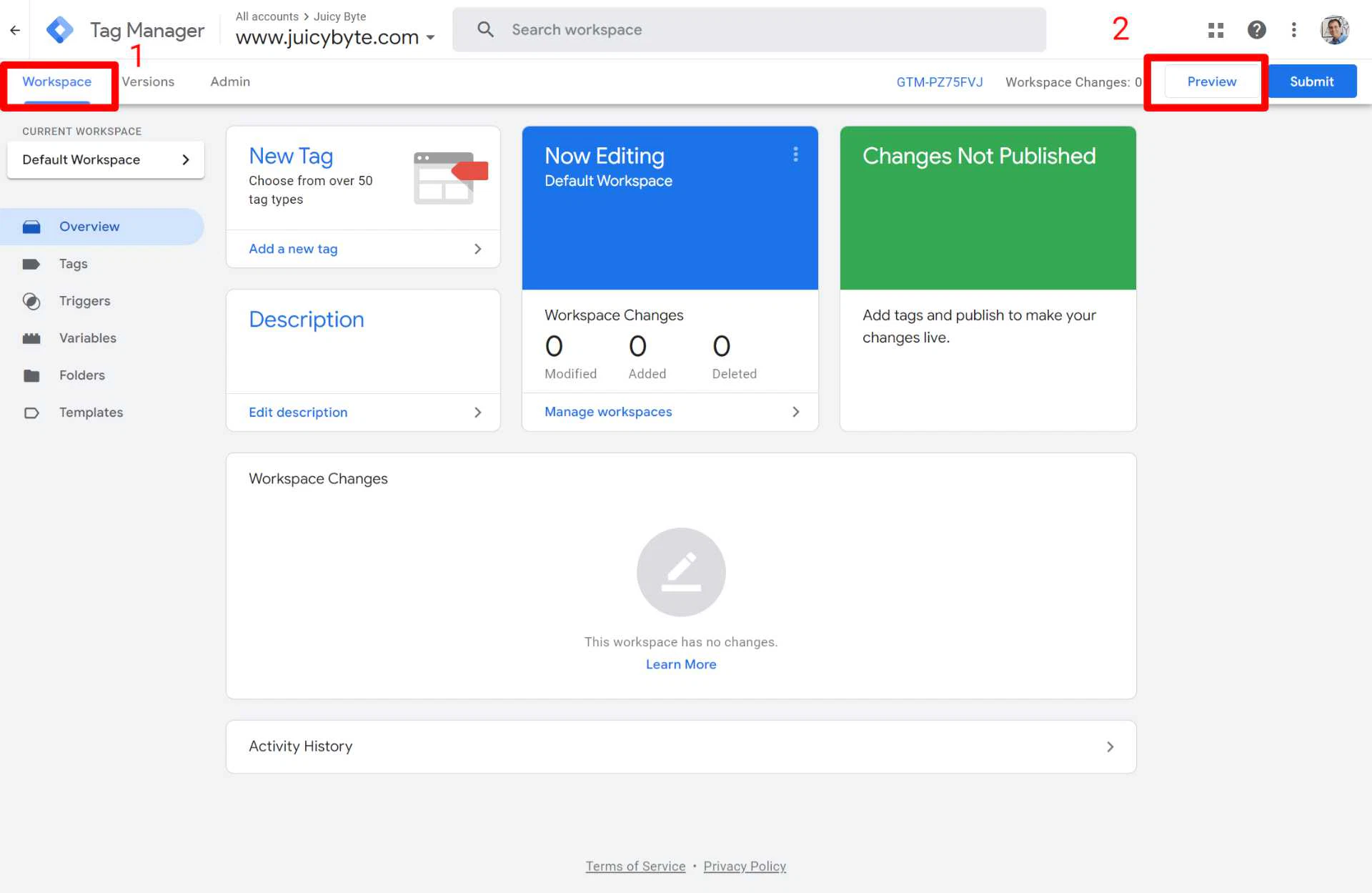 Check Google Tag Manager Tag